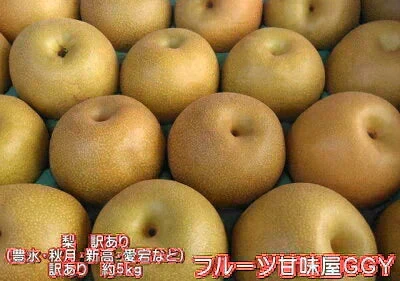 梨 訳あり(愛甘水・幸水・豊水・秋月・新高・愛宕・新興・秋麗・甘太など)約5kg(約5~24玉) 旬な品種をお届け【8月下旬頃~9月下旬順次発送】