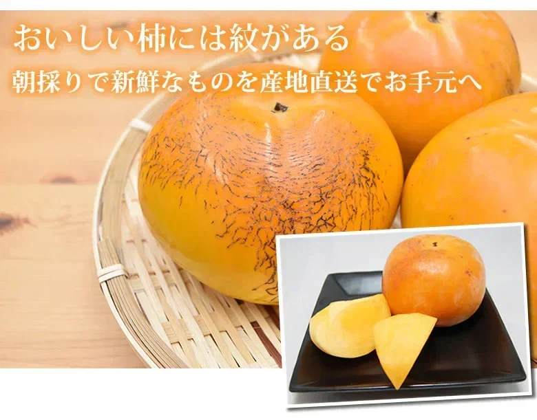 【10月下旬~11月上旬頃より順次出荷】太秋柿 柿 訳あり 送料無料 約3kg 熊本・福岡県産 お取り寄せ フルーツ 太秋 たいしゅうがき 甘柿 かき カキ