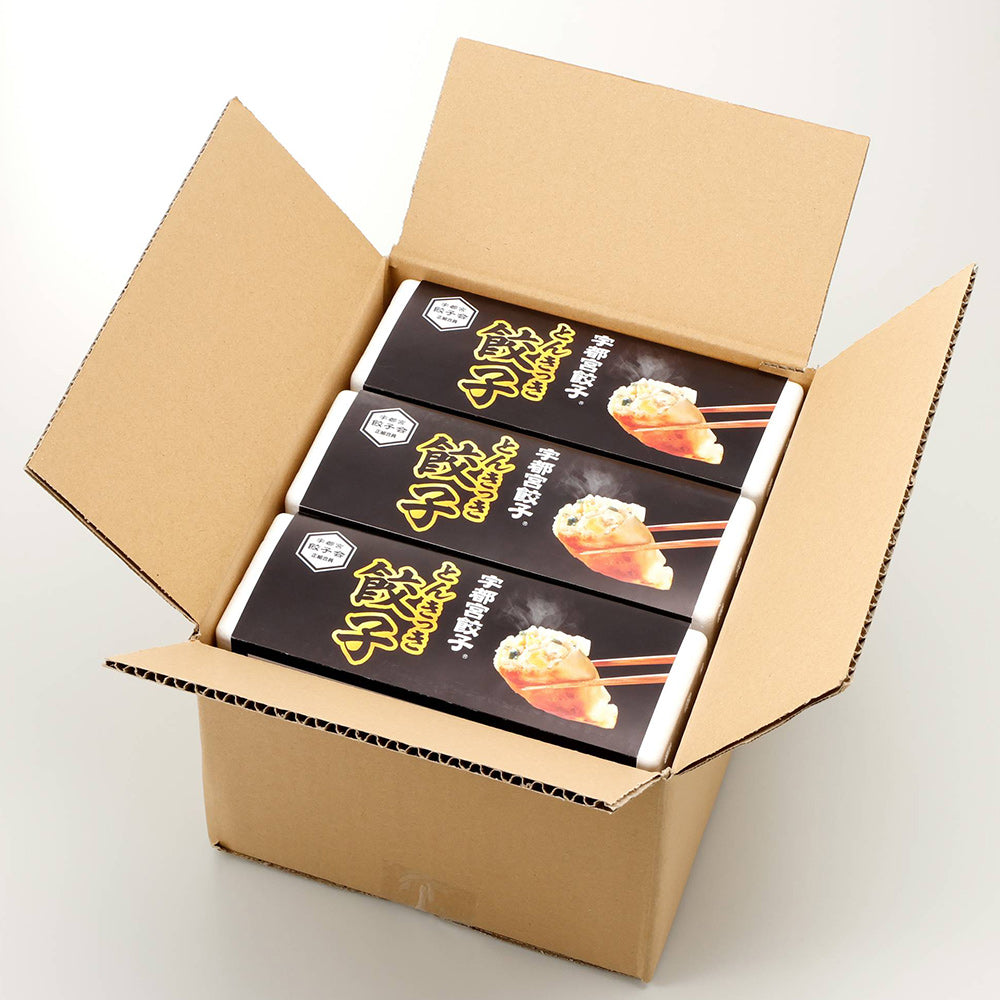 とんきっき餃子 20個入り 3箱 計60個 栃木県 宇都宮餃子 餃子 ぎょうざ【送料無料】【お届け不可地域:離島】