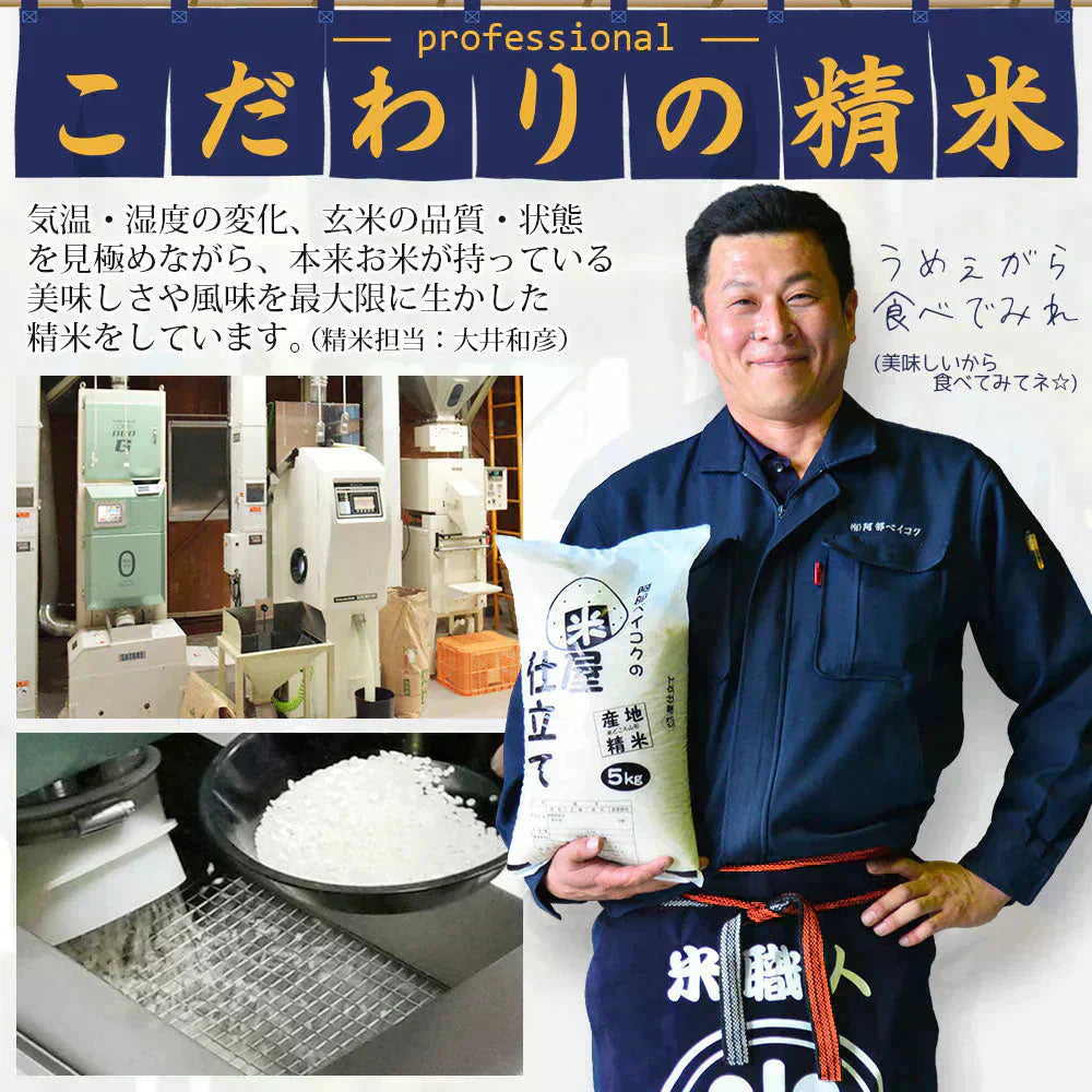 白米 10kg (5kg×2袋) 米屋仕立て 国内産 送料無料 米10キロ こめ コメ お米 新米 お米10kg