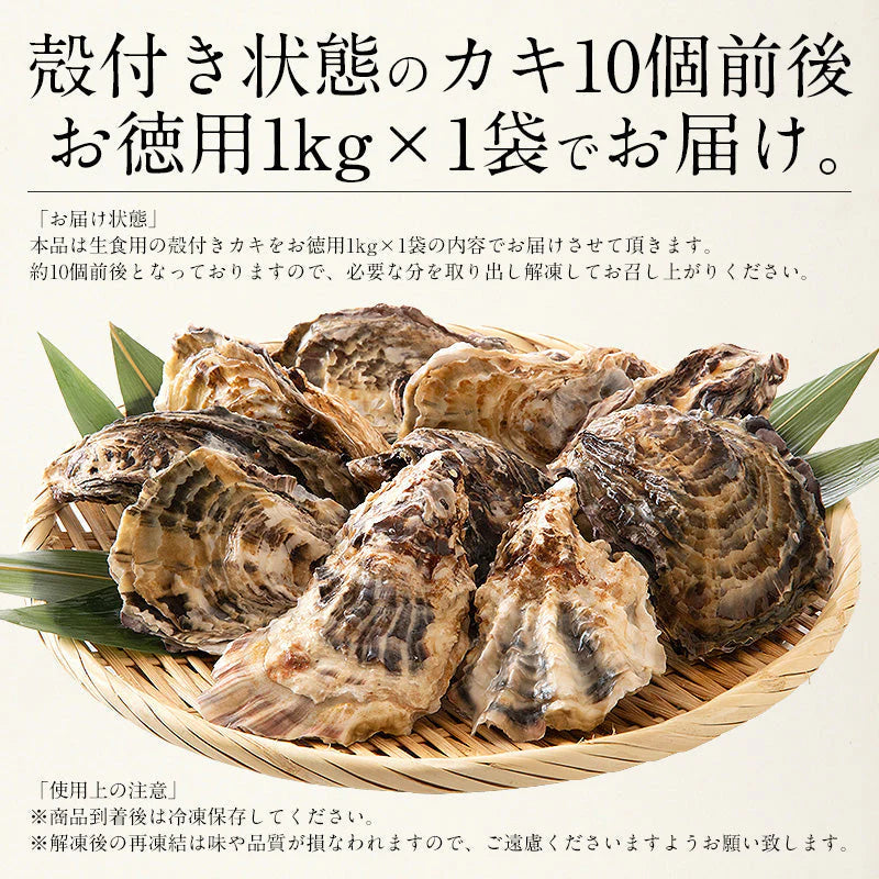 1kg(10個前後)牡蠣 生食用 殻付き