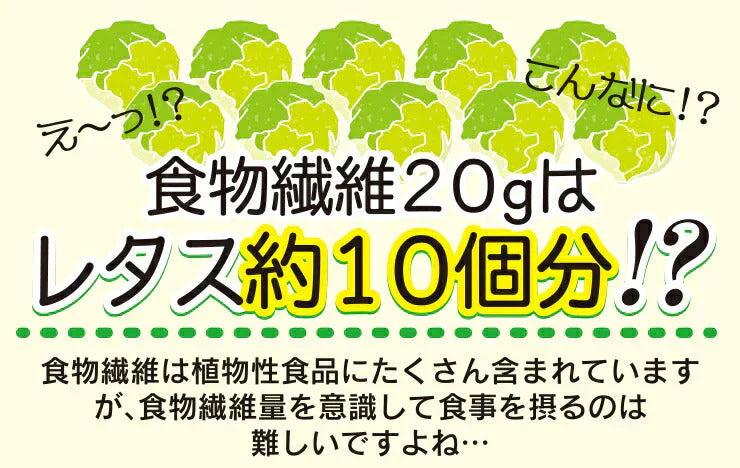 500g 水溶性食物繊維+生きてる乳酸菌パウダー