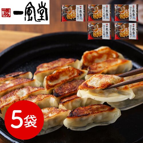 福岡 「博多一風堂」 博多ひとくち餃子(5袋)