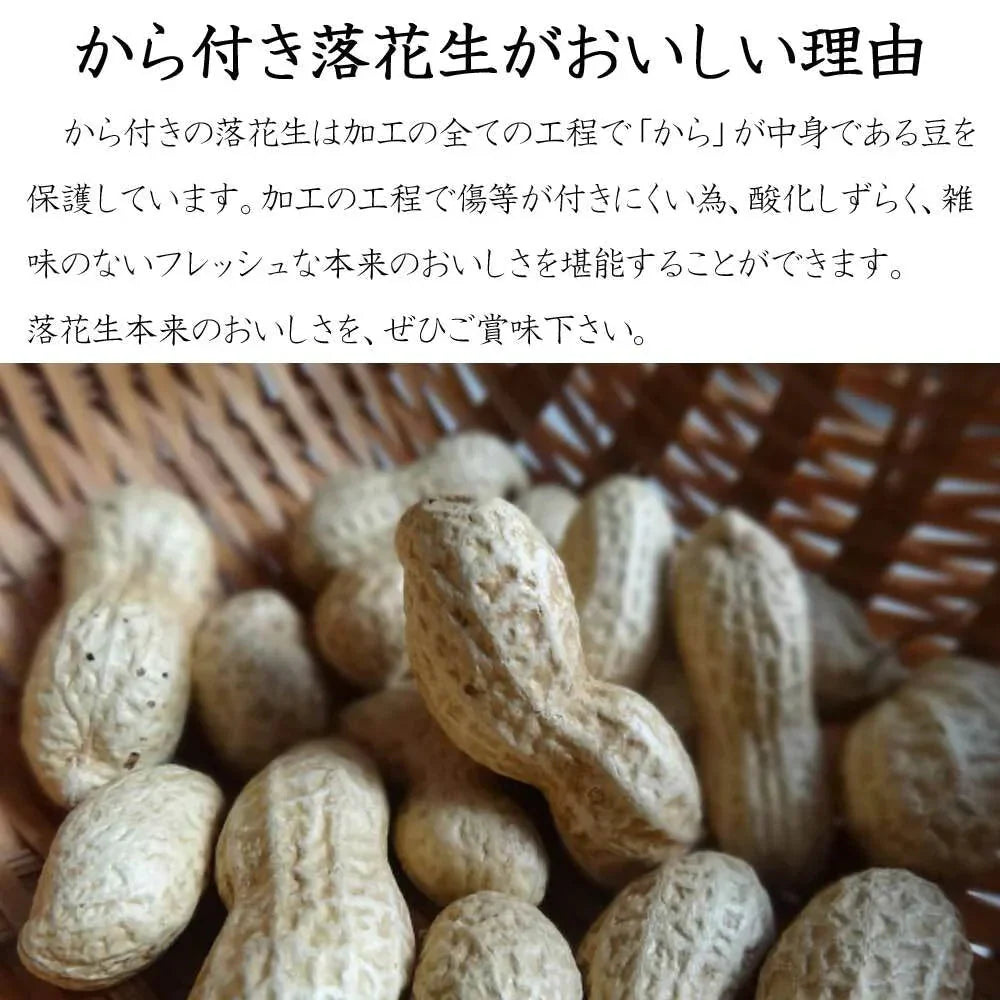 【大特価】お試し 千葉県産千葉半立 さや煎り落花生200g(100g×2袋) 国産 おつまみ グルメ おやつ 無添加