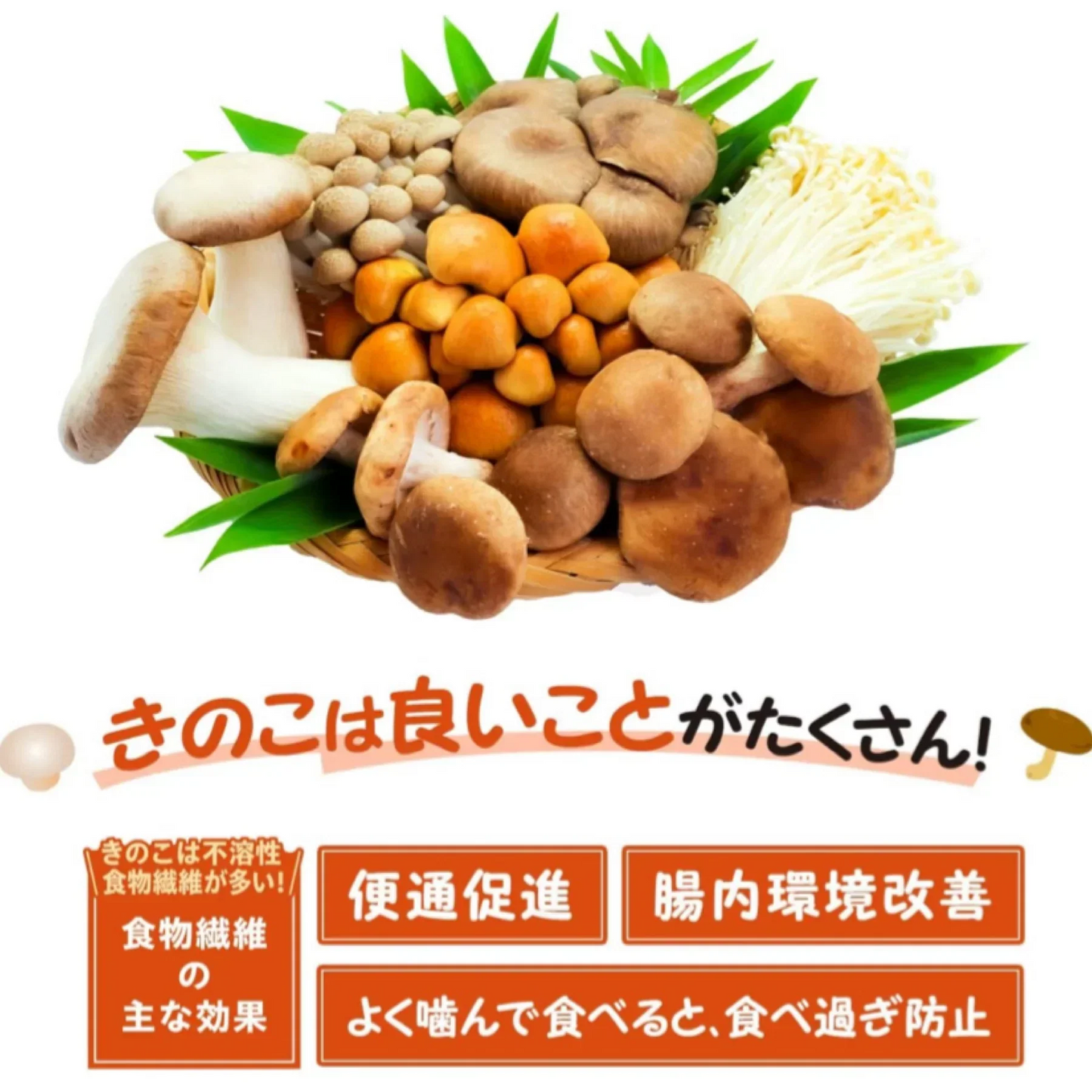賞味期限間近【2袋セット】マッシュルームスナック トリュフ味 60g 真空フライスナック