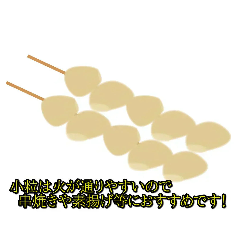 【わけあり品】青森県産ホワイト六片種にんにく バラ 小粒のみ 500g【高糖度】