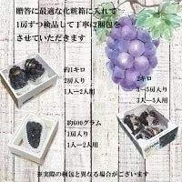 【9月上旬順次発送】送料無料 岡山産 ピオーネ 2キロ 訳あり 3-5房入 ぶどう プレゼント お祝い ギフト
