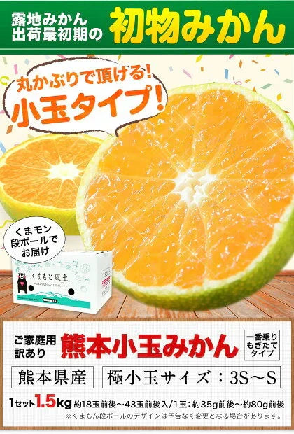 小玉 みかん 送料無料 訳あり みかん 小粒 1.5kg 家庭用 箱買い 果物 小粒 熊本 極早生 柑橘 九州 訳アリ だけど 小玉 で 甘い 蜜柑 わけあり 《9月中旬-9月末頃より発送予定》