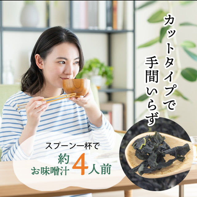 【徳島県産】乾燥わかめ!お試し40g!