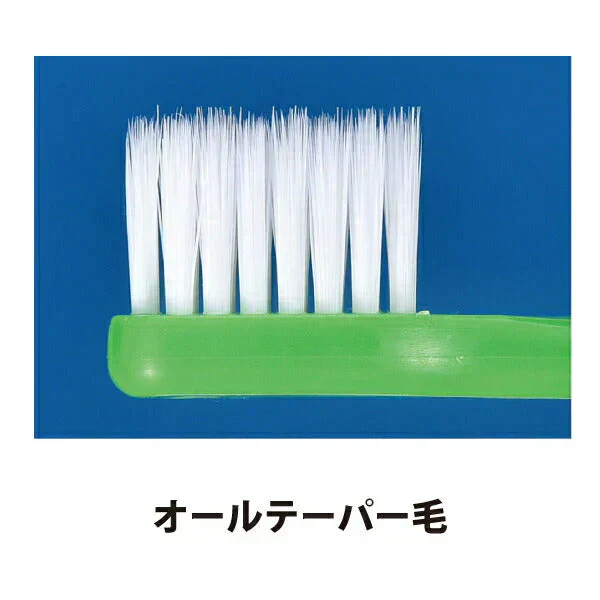 歯ブラシ 4列 先細毛 デンタルコロン Mふつう 3本【メール便送料無料】