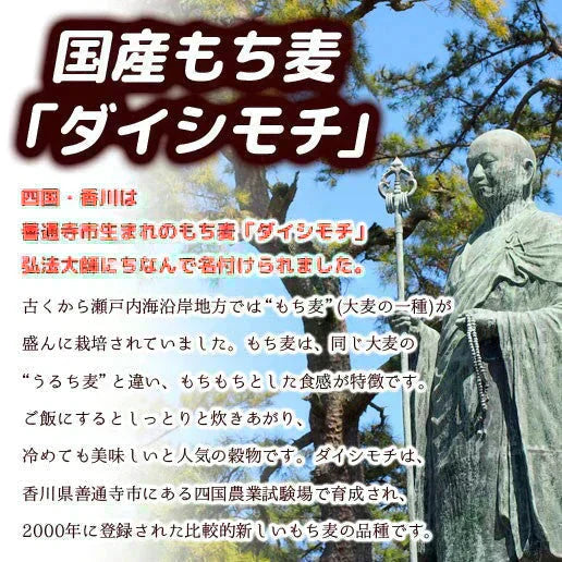 450g 国産もち麦 送料無料【カウシェファーム収穫対象商品】