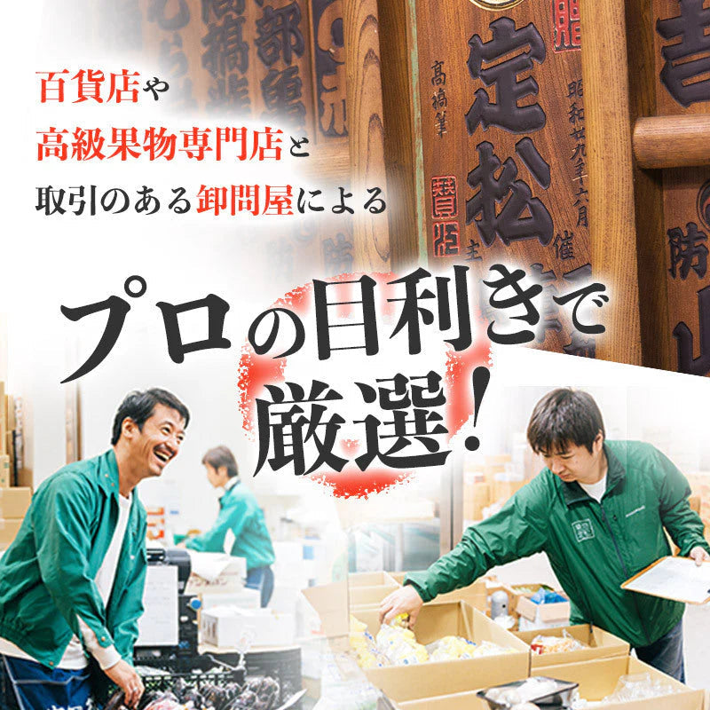 【豊洲市場直送】静岡県産クラウンメロン 1玉