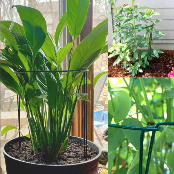 植物サポートリング 支柱 花ささえ ガーデニング 園芸 観葉植物