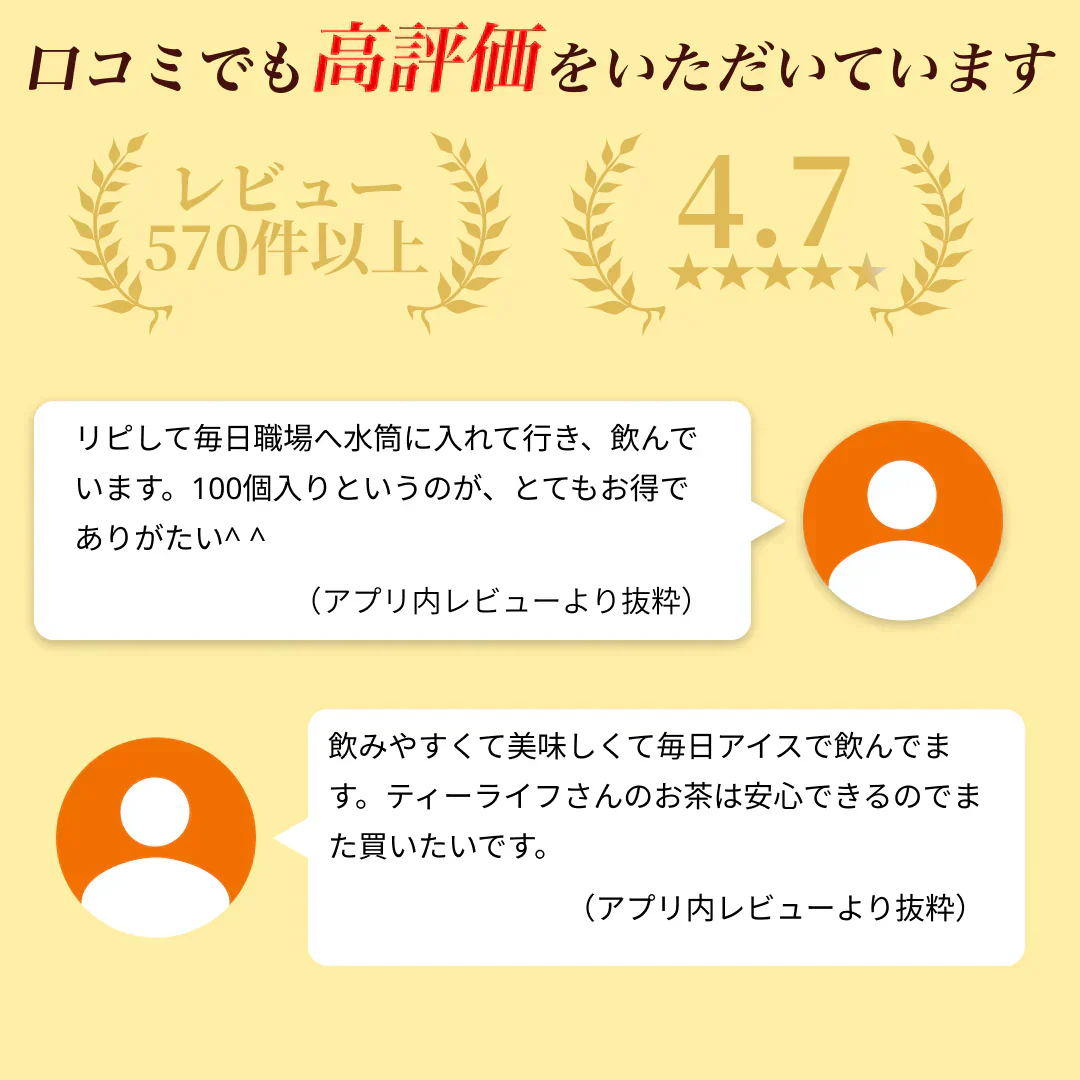 ルイボスティー 101個入 ルイボス ルイボス茶 水出し ティーバッグ ハーブティー【ご新規さん限定商品】