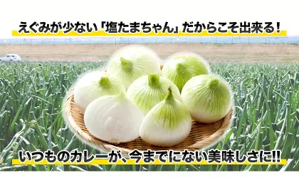 熊本県産 訳あり 塩たまちゃん 玉ねぎ たまねぎ 5kg 【5L-2Sサイズ不選別】 子出藤 (ねでふじ)さん 送料無料 塩タマネギ 新たまねぎ 塩玉ちゃん 塩玉 お取り寄せ お取り寄せグルメ《7-14営業日以内に出荷(土日祝除く)》