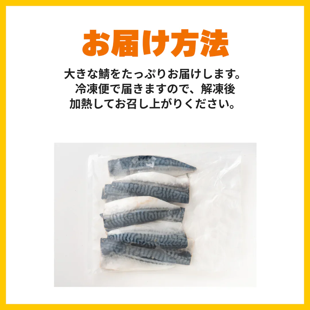 さば 無添加 無塩 トロさば サバ 鯖 約2kg(12〜16尾)トロ鯖 海鮮 天然 美味しい 魚 魚介 海産物 おかず おつまみ 乾き物 酒の肴 贈り物 お取り寄せグルメ 食べ物 おいしい 絶品