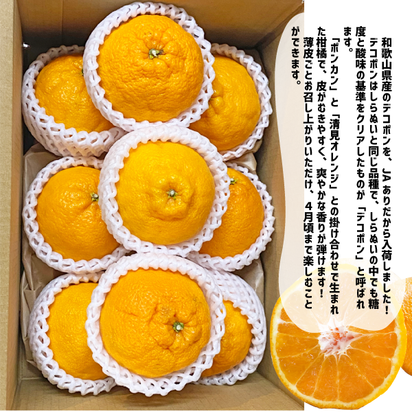 和歌山県産 デコポン 約2kg 和歌山 でこぽん 凸ポン しらぬい 不知火 ギフト 自宅用 贈答 柑橘 ありだ