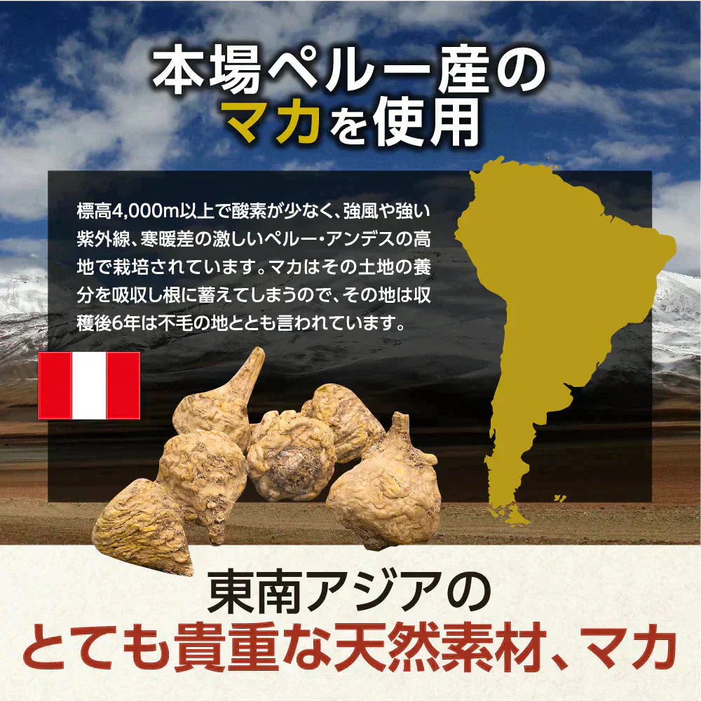 マカ 《約3ヶ月分》 サプリ 亜鉛 鉄 必須アミノ酸 男性 女性 元気 エネルギー ビタミン ミネラル 健康 マカ【大容量】