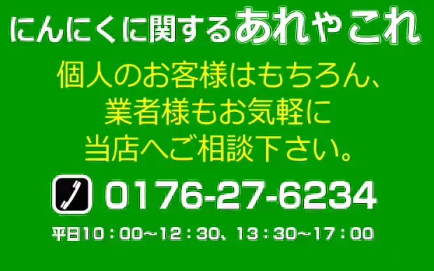 令和7年度産 青森県産にんにく 1㎏ 訳あり 並級C品 Mサイズ以上大玉混合 福地ホワイト六片種