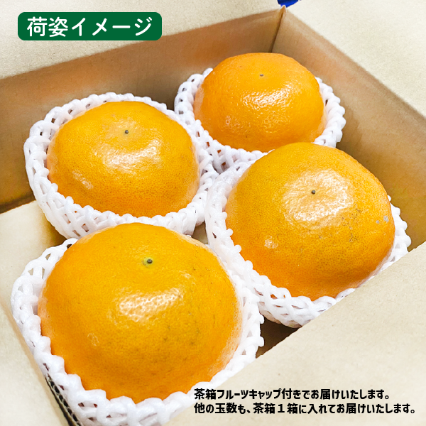 佐賀県産 にじゅうまる 4玉 2Lサイズ 数量限定 新品種 希少柑橘 ◎ ギフト 贈答 みかん 柑橘 送料込み