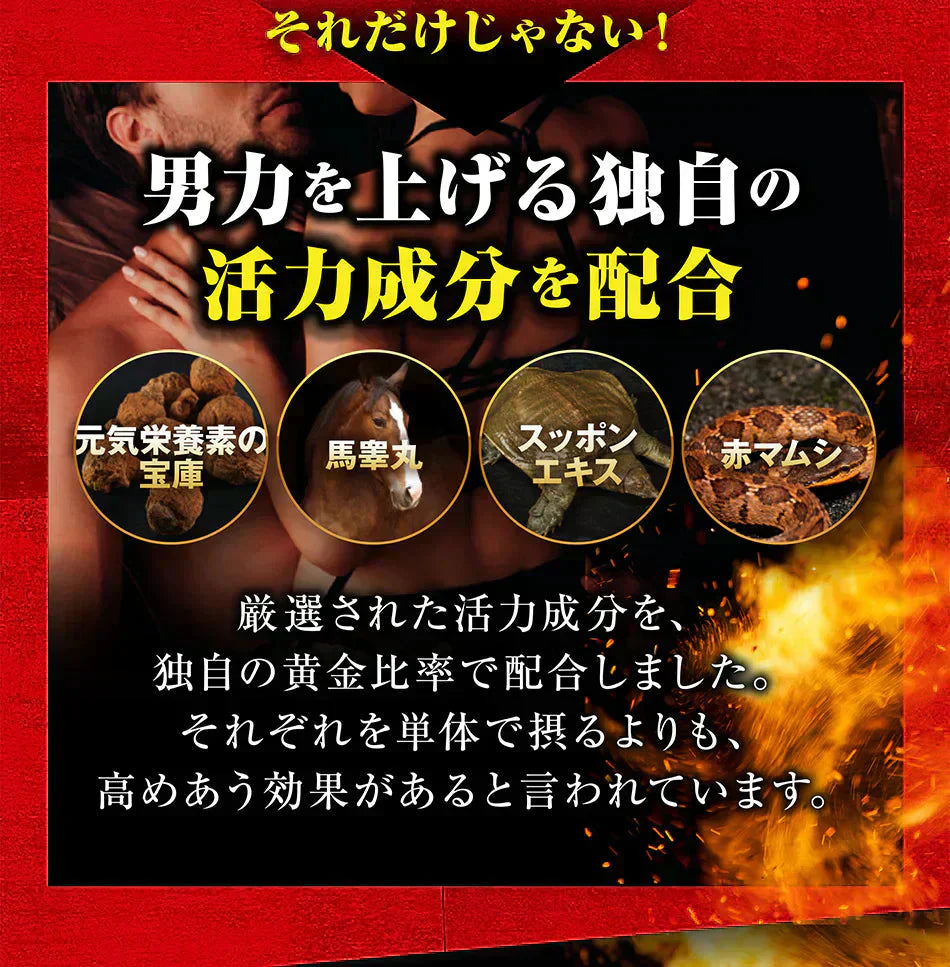 【ストロング HMB・お得3ヶ月分】太く 強く 気力 活力 男性 BCAA クレアチン カルニチン 亜鉛 アルギニン 人気ランキング サプリメント 国産 ダイエット 女性が求める最強のボディー 男力 バルクアップ 理想の体 ダイエットボディーメイク マカ HMB おすすめ 人気 ランキング 効果 強力 最強 スッポン マムシ BCAA 馬睾丸 日本