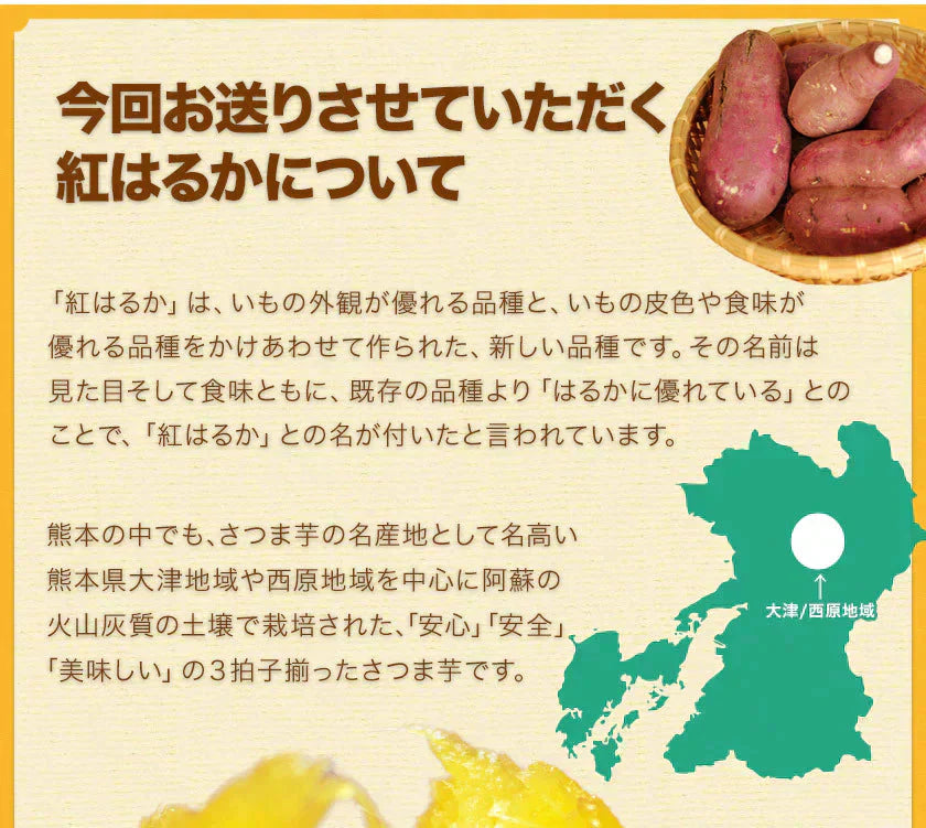 さつまいも 紅はるか べにはるか 1.5kg 送料無料 芋 熊本県産 スイーツ お取り寄せ 11月上旬-12月上旬頃より発送予定