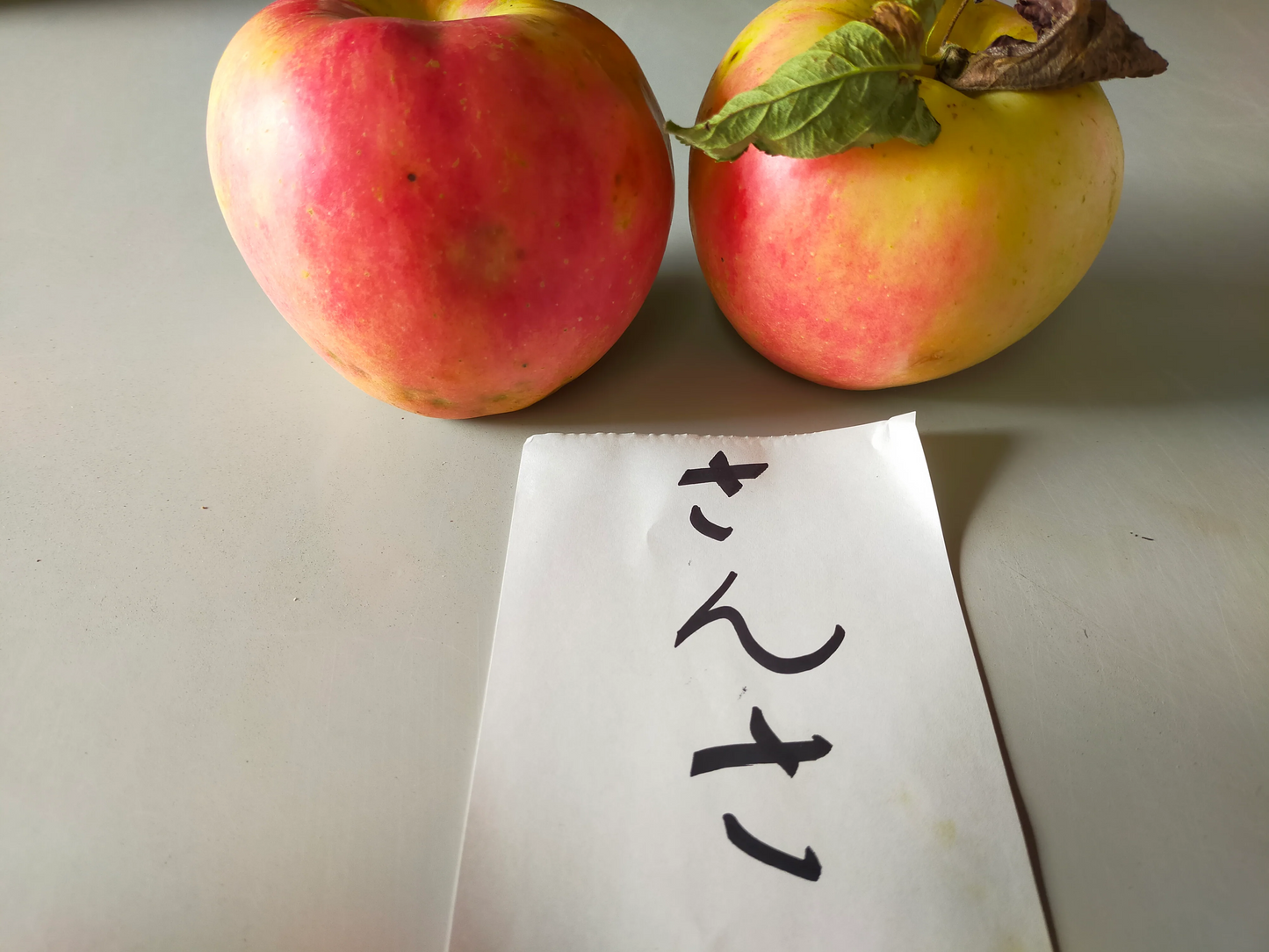 青森りんご さんさ 訳あり3㎏(約11個~変動あり)佐川急便冷蔵【6140】