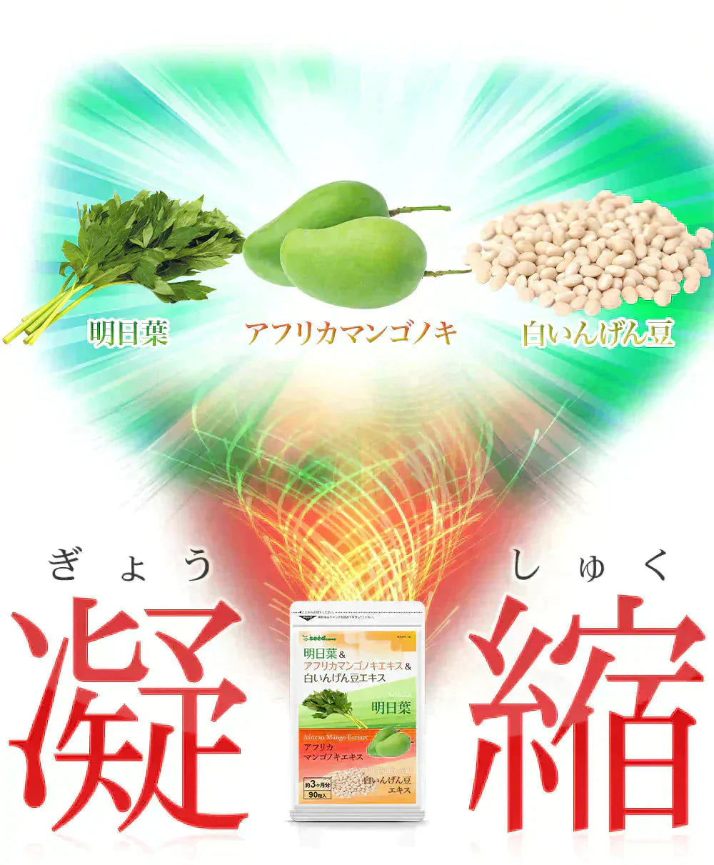 明日葉&アフリカマンゴノキ&白いんげん豆エキス≪約1ヶ月分≫サプリメント ダイエット サプリ燃焼系 ダイエット セール エラグ酸