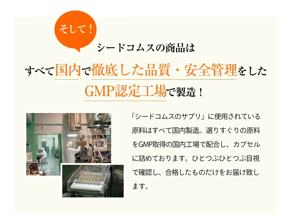 濃いルテイン《約6ヶ月分》ルテイン サプリ サプリメント 亜麻仁油 エゴマ油 ビタミンA ビタミンE ブルーライト デジタルケア マリーゴールド抽出物 PC スマホ【大容量】