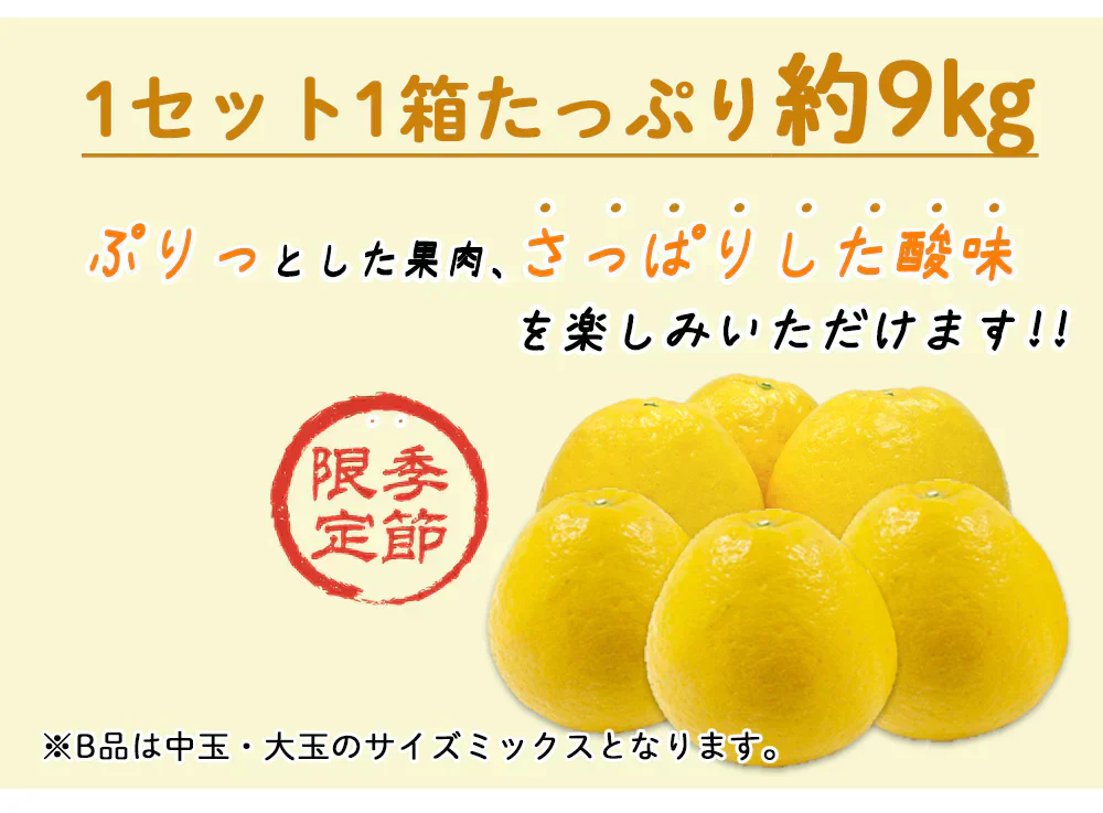 河内晩柑 B級品 (9kg) ※中玉・大玉MIX 訳あり 晩柑 ご家庭用 箱買い B品 サイズミックス 柑橘 みかん フルーツ 果物 産地直送 愛媛県産