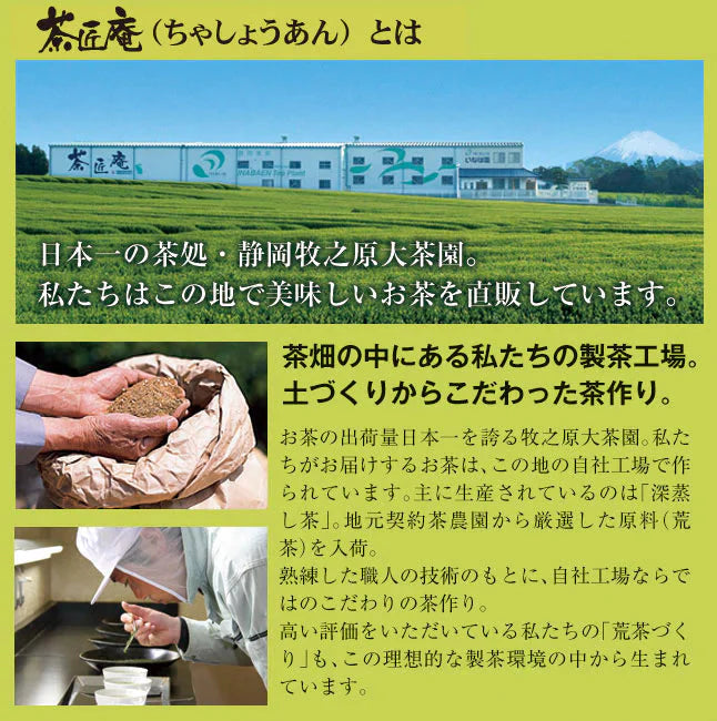 【2個セット】日本橋いなば園 静岡深蒸し茶 荒茶づくり 100g ネコポス メール便送料無料