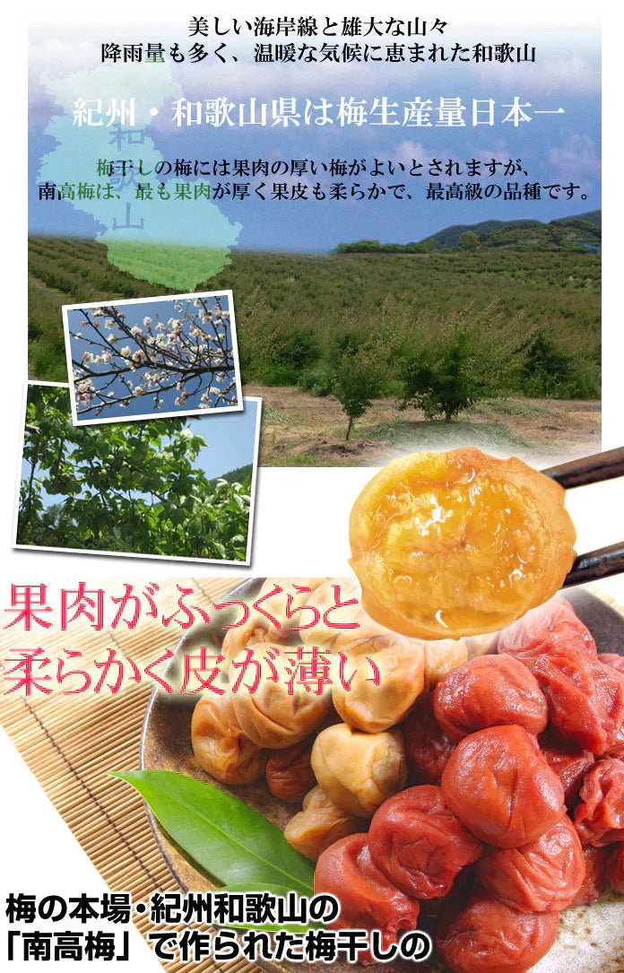 紀州南高梅のはちみつ梅干し つぶれ梅 200g×2パック