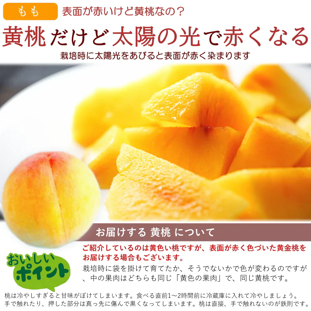黄桃 6-8玉入り 約2kg 化粧箱 贈答 ギフト プレゼント もも 桃 きいろ モモ 山形 産地直送 送料無料