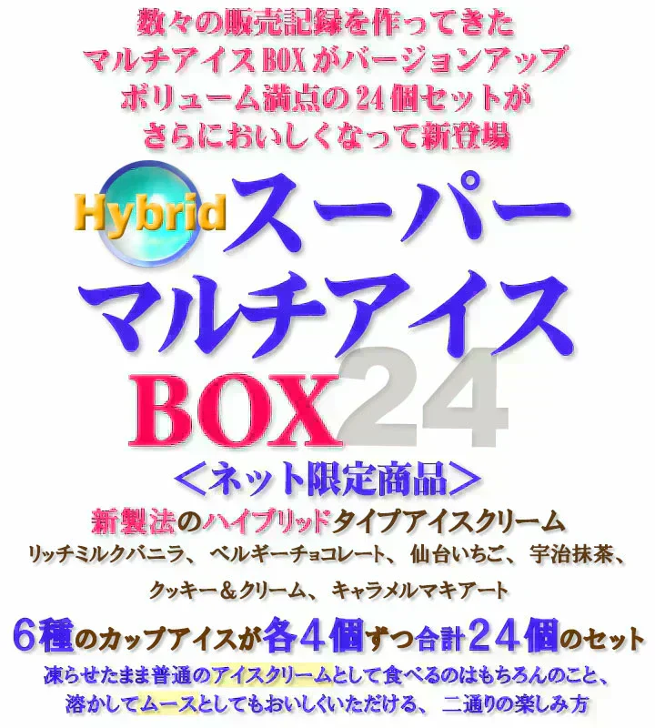 【送料込み】フロム蔵王 HybridスーパーマルチアイスBOX24・NEO(ネオマルチ)
