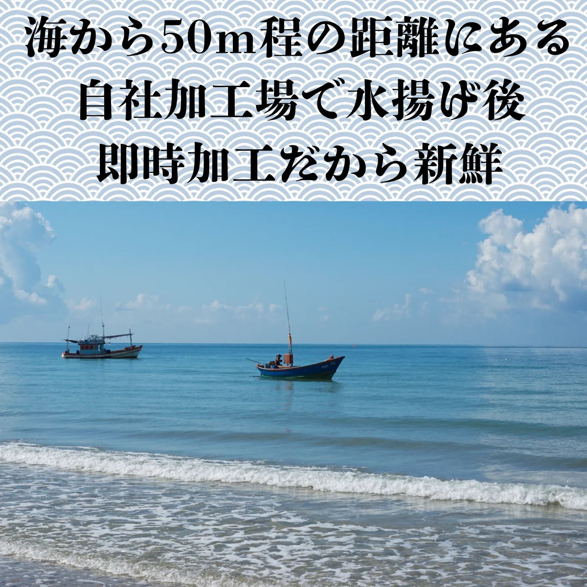 天然ブリ 冷凍 ブツ切り 2kg