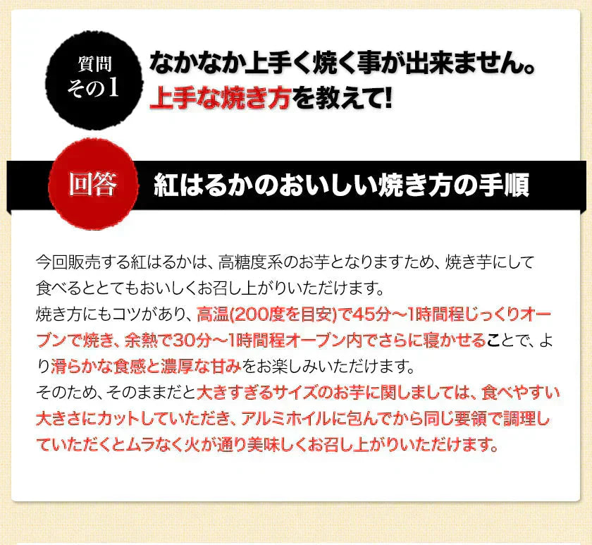 さつまいも 紅はるか べにはるか 1.5kg 送料無料 芋 熊本県産 スイーツ お取り寄せ 11月上旬-12月上旬頃より発送予定