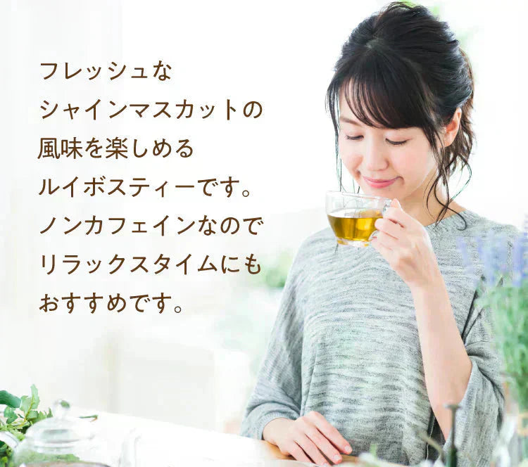 <97676>アレンジルイボスティー シャインマスカット カップ用30個入(グリーンルイボスティー ティーバッグ ノンカフェイン ハーブティー)