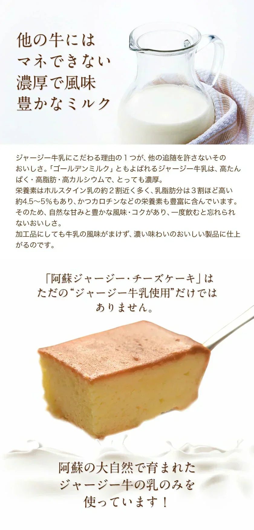 阿蘇 ジャージー チーズケーキ 希少 な ジャージー牛乳使用 スイーツ 1-5営業日以内に発送予定(土日祝除く)