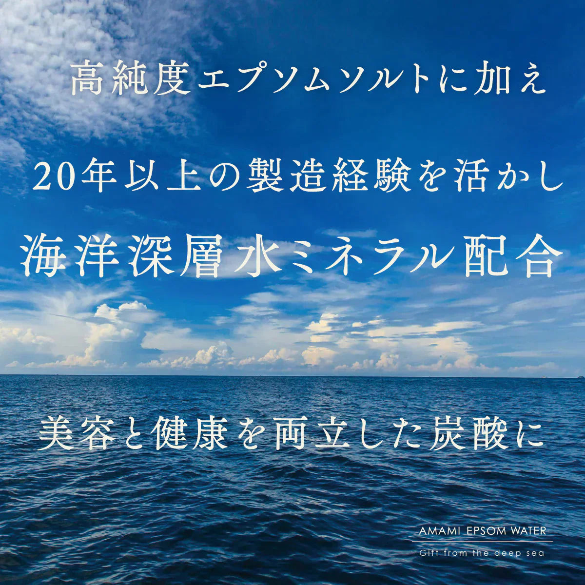 美と健康の炭酸水 エプソムウォーター 500ml 24本