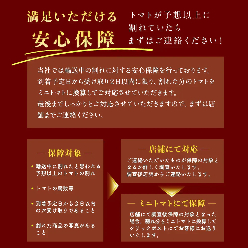 予約【1月前後から発送開始】お試し\特別栽培農産物/ソムリエミニトマト プラチナ 390g