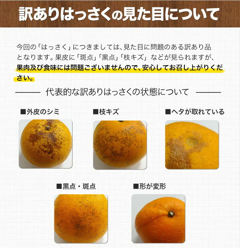 2024 福袋 みかん 福袋 送料無料 高級フルーツ 黒毛和牛 が当たるかもデコポン 干し芋 柑橘 果物 フルーツ 予約 3月上旬-3月末頃より発送予定【福袋】