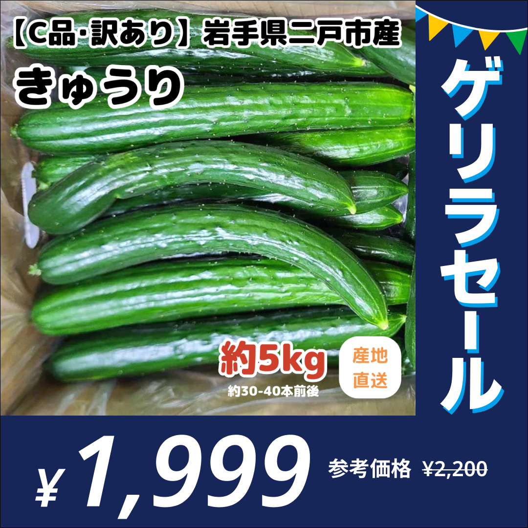 C品・訳あり】きゅうり 5キロ［約30-40本前後入］ 生産者直送 岩手県