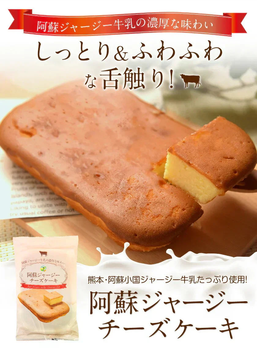 阿蘇 ジャージー チーズケーキ 希少 な ジャージー牛乳使用 スイーツ 1-5営業日以内に発送予定(土日祝除く)