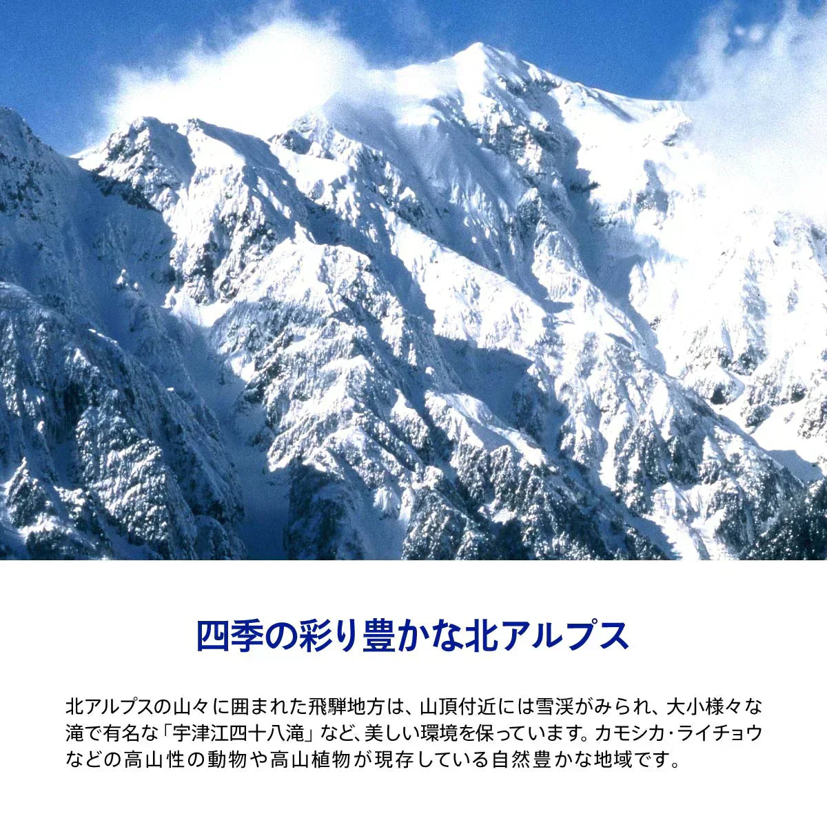 水想い ナチュラルミネラルウォーター ラベルレス 2L × 9本 軟水