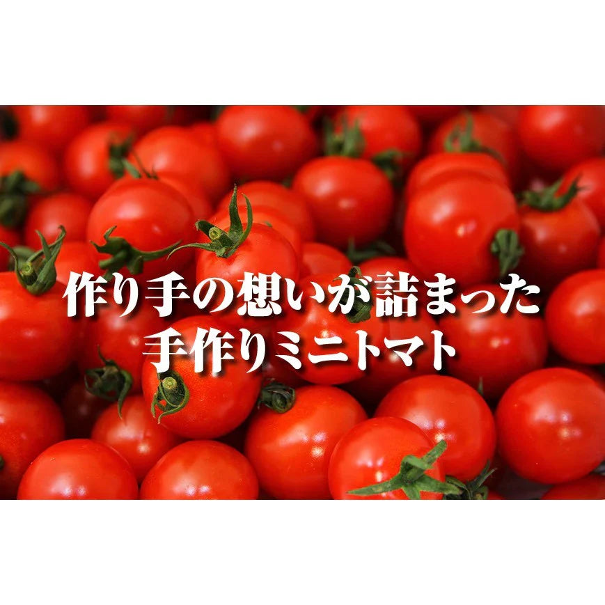 予約2026年1月下旬から順次発送【特別栽培農産物】\訳あり/ソムリエ トマト 4~5kg(18玉~36玉)ダイヤのオマケ付き