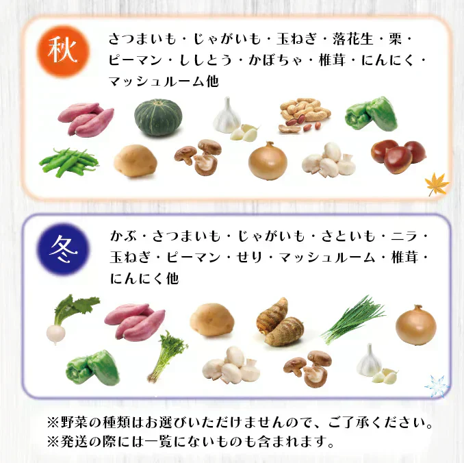 【60サイズ箱にギッシリ!房総産・大地の恵みを味わう得々野菜セット】当日採れたて直送!