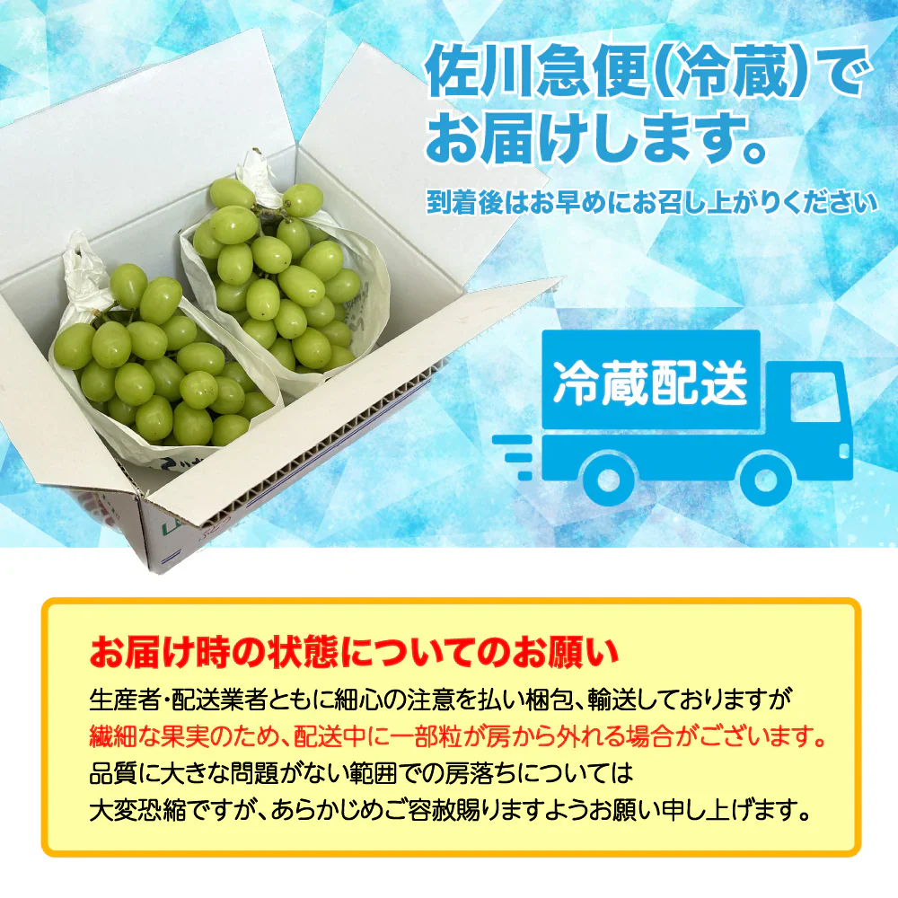 シャインマスカット 【山梨 笛吹市産】約1.2kg (2房) 1房 約500-700g 産地直送 高糖度 大粒 皮ごと ステビア農法 ぶどう マスカット 果物 フルーツ 冷蔵 ギフト 産直 敬老の日 お中元