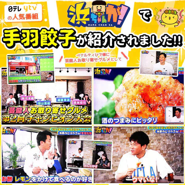 8秒に1本売れてる!手羽先餃子10本セット