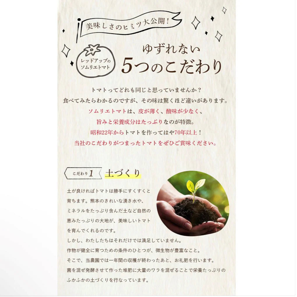 予約2026年1月下旬から順次発送【特別栽培農産物】\訳あり/ソムリエ トマト 4~5kg(18玉~36玉)ダイヤのオマケ付き