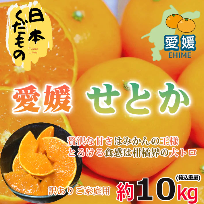 い出のひと時に、とびきりのおしゃれを！ せとか 愛媛県産 10kg カウシェ – 柑橘 訳あり家庭用 果物